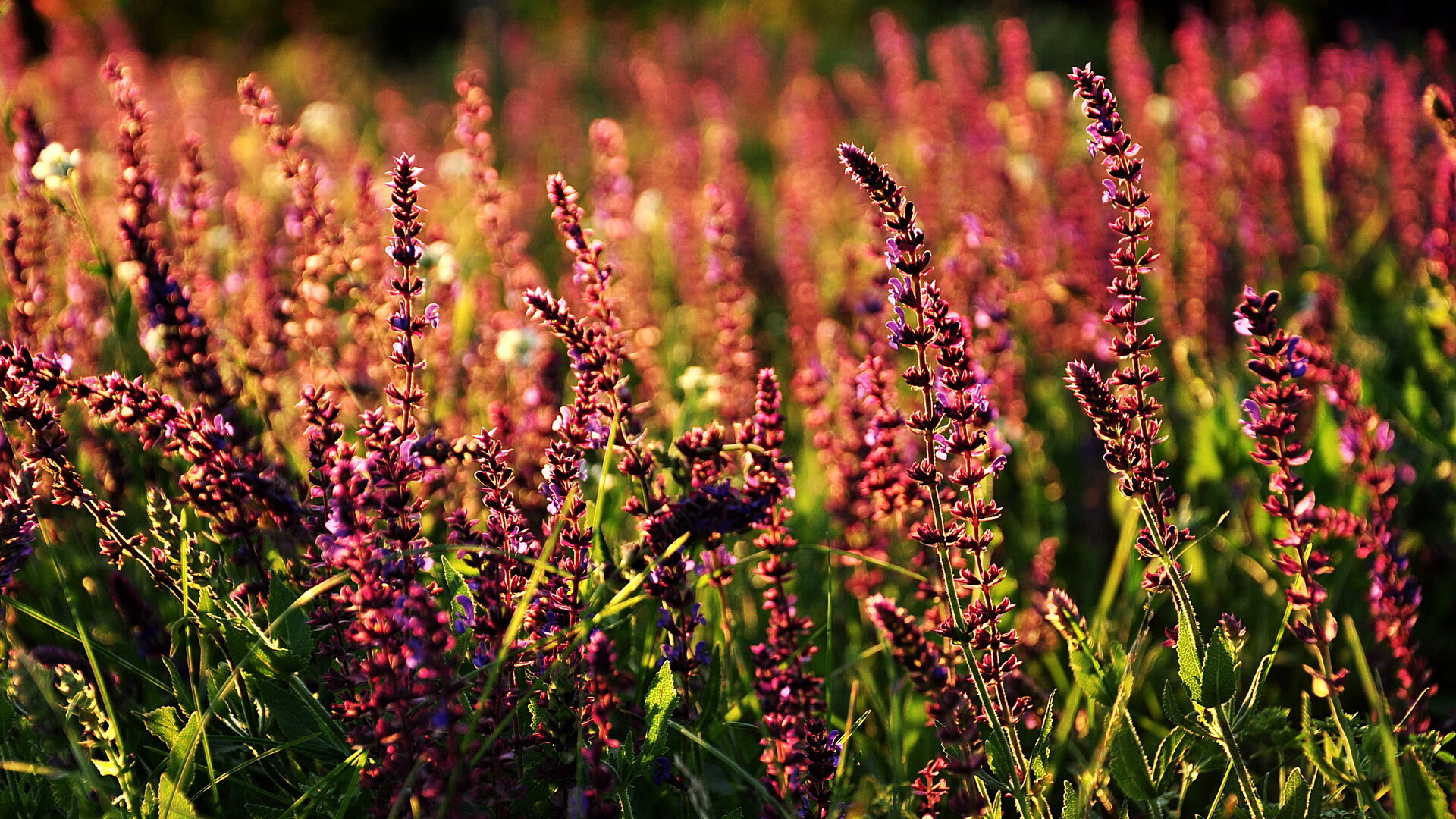 中国女子足球队迎难而上,冲击奥运奖牌,中国女子足球奥运会最好成绩