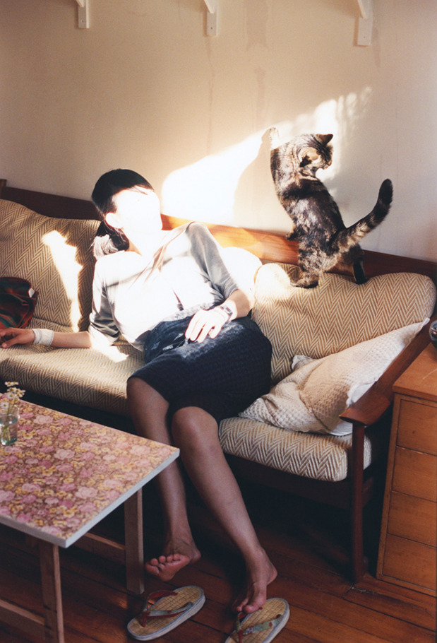 传统舞狮运动会，文化与力量的精彩演绎