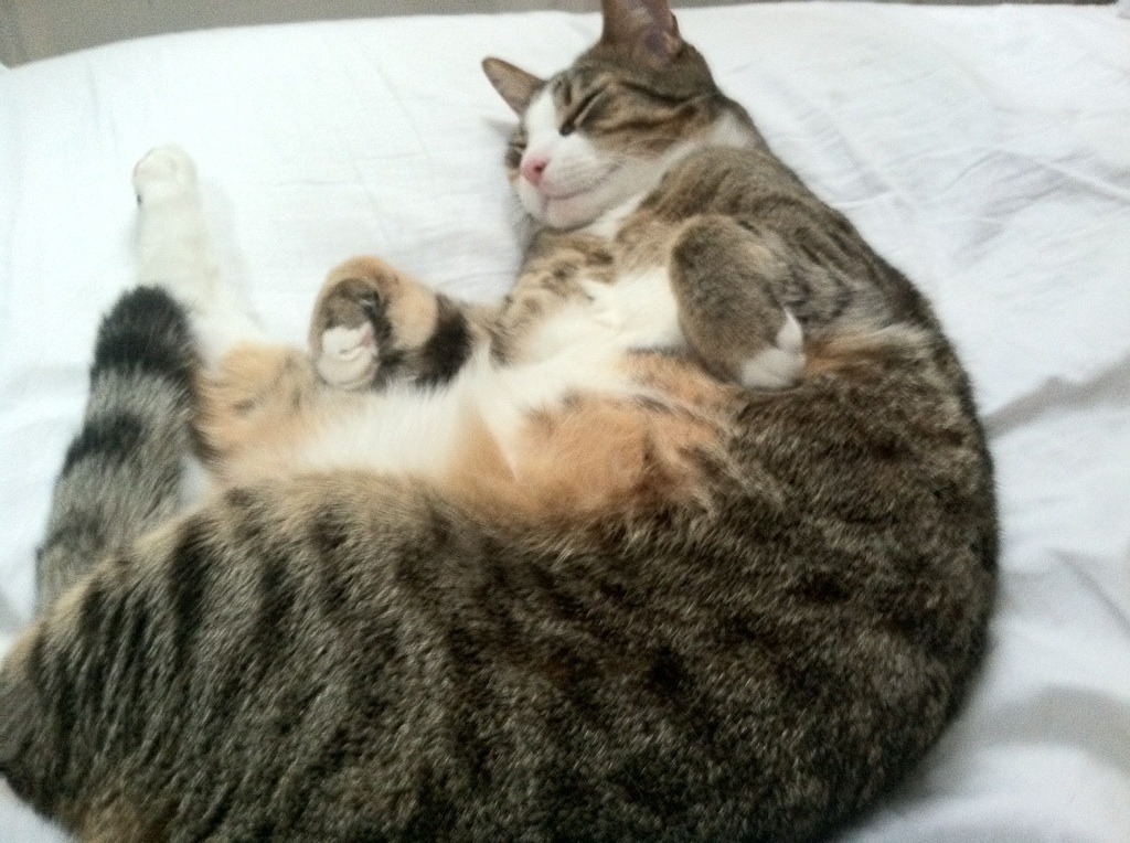 传统赛龙舟，水上团结力量的象征，龙舟水寓意