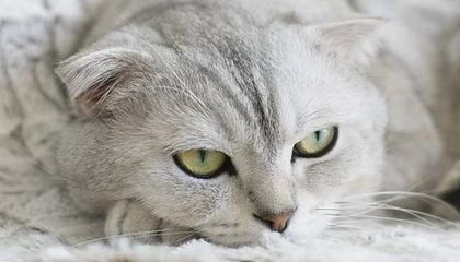 九游娱乐官网 (jiuyou)-国内外电竞赛事合作持续深化，行业格局调整，国外电竞比赛