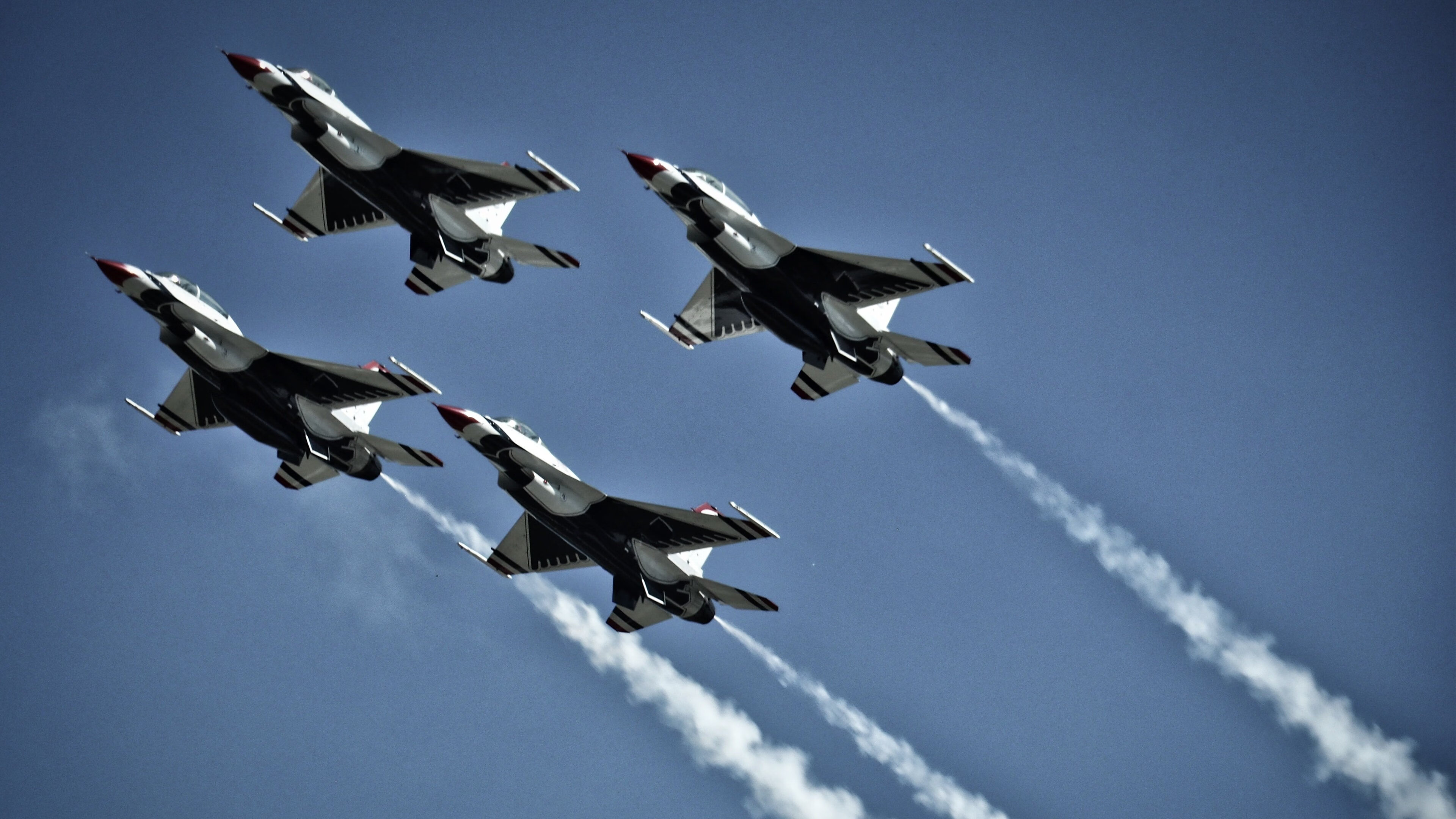 九游官网下载电脑版-_野生动植物保护跑：运动与环保双赢_，野生动植物保护宣传海报