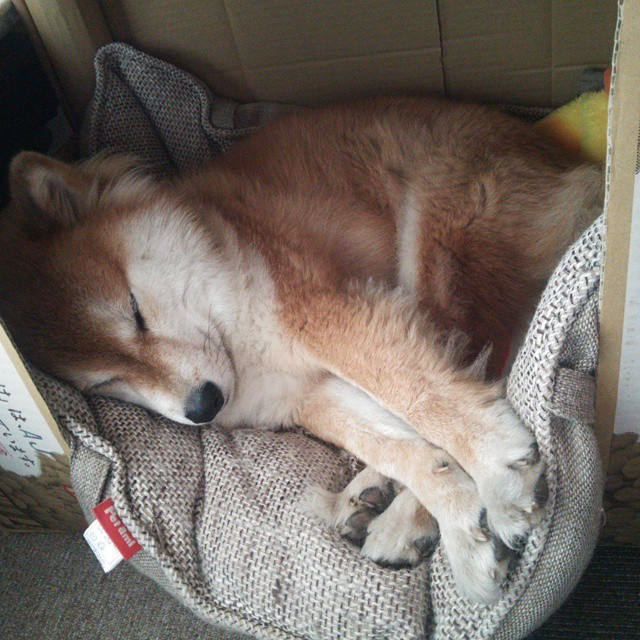 九游娱乐(jiuyou)官网-“传感器与图像识别的双重护航——裁判判罚更科学、更公平的技术路径”