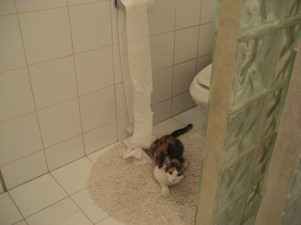 “法甲豪门迎来强敌挑战，胜负悬念不断”，法甲榜首