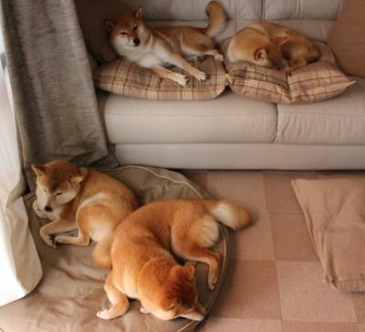 九游jiuyou-“足球+大数据”行业应用实现行业效率和水平大跃升，大数据在足球训练中的运用