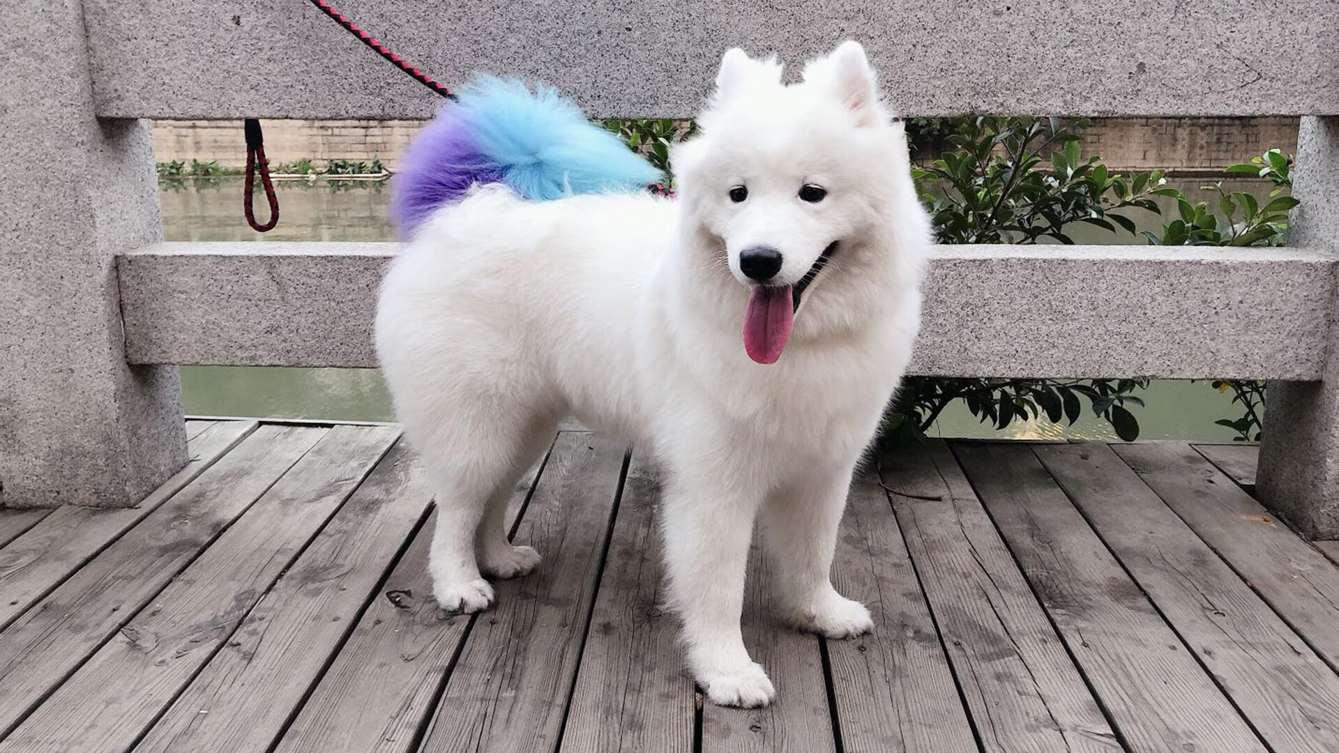 《CS_GO国际冠军联赛，豪门宿命对决不断》，csgo国服第一富豪