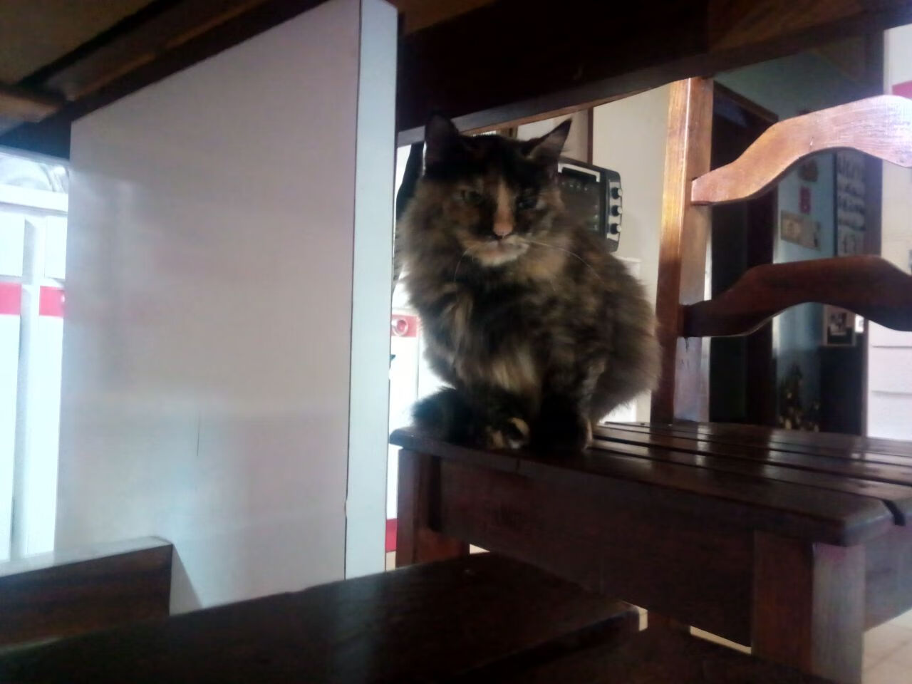 九游app官网下载-《行业协会推动：共同维护电竞比赛的公平与秩序》，电竞协会章程