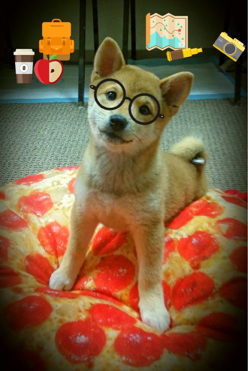 九游网页版官网入口-【电子裁判】如何确保每次判罚公平透明？，电子裁判和人工裁判