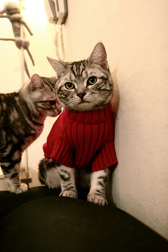 九游电脑版-【策略应用】高手如何利用规则漏洞打出临场奇兵？