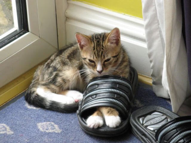 九游9游-【经典逆转】马克·塞尔比：从落后到领先的战术奇迹，马克塞尔比厉害吗