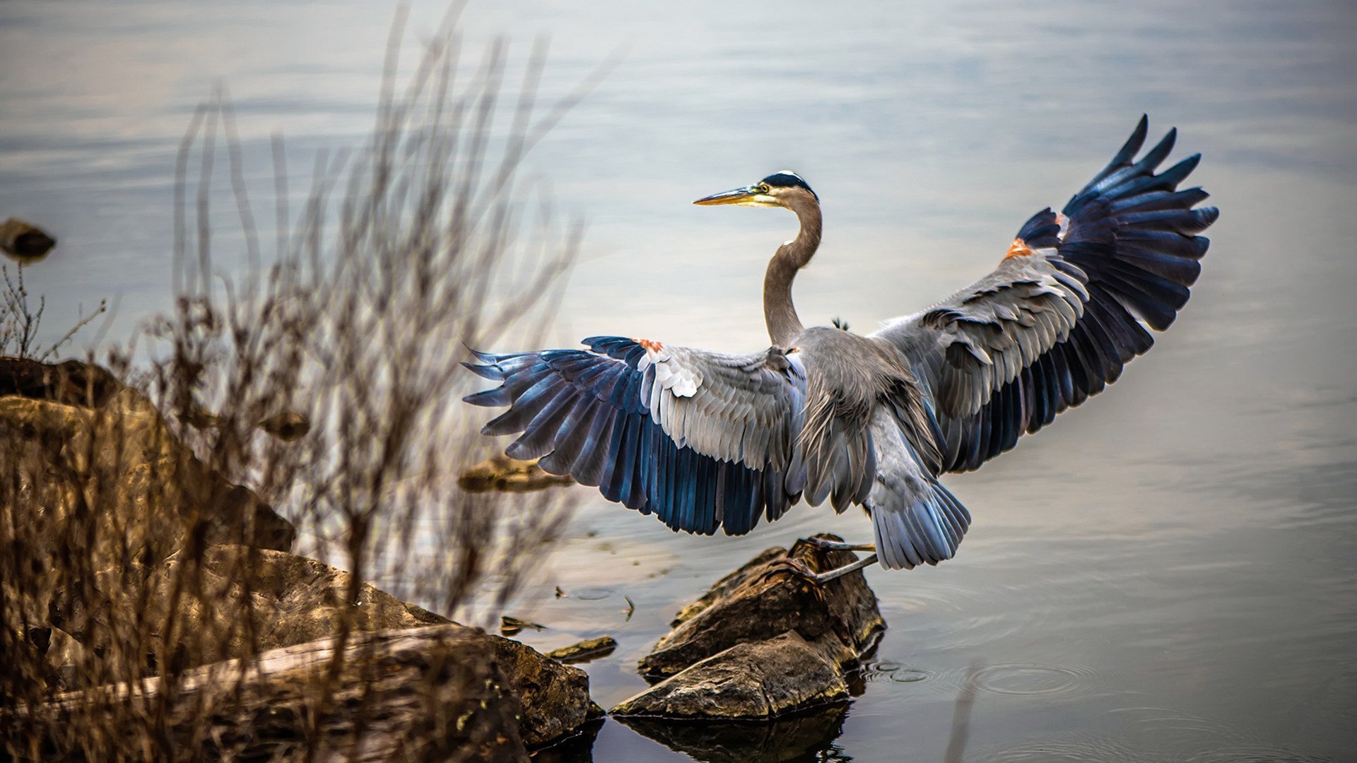 九游APP官网-勇士球员集体挑战“无声训练日”，提升非语言沟通，勇士主场音效