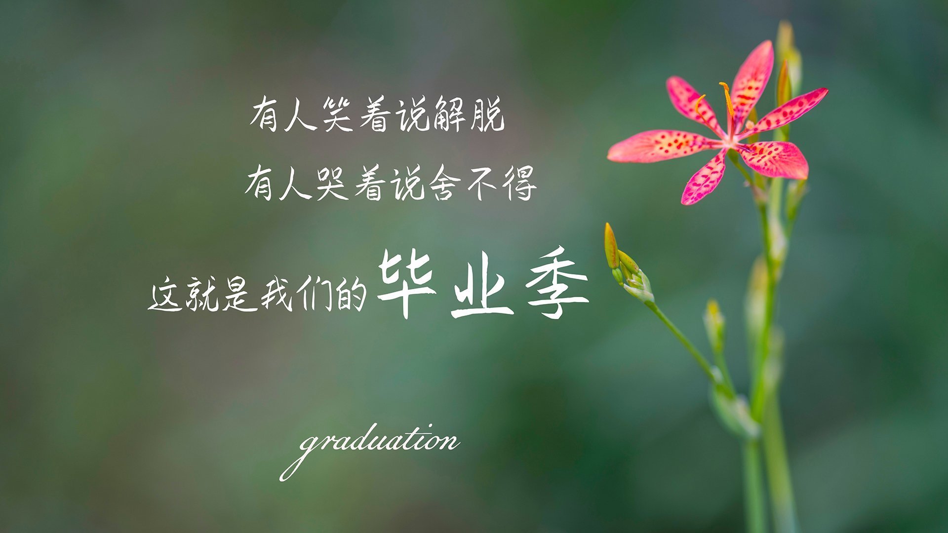 国内外媒体关注，中超带火全民足球热潮，中超专用足球