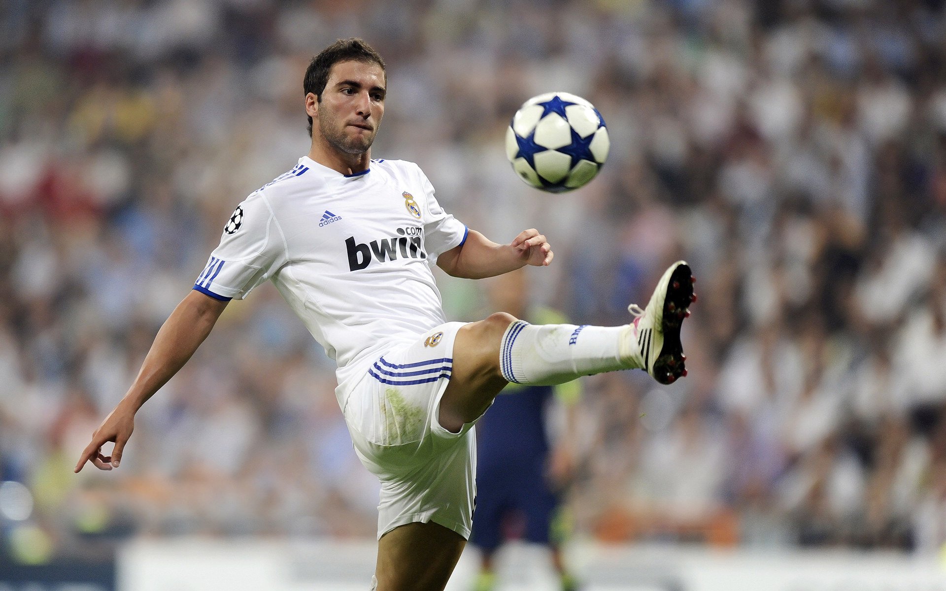 美洲杯激情碰撞：明星表现极致精彩！，美洲杯视频集锦